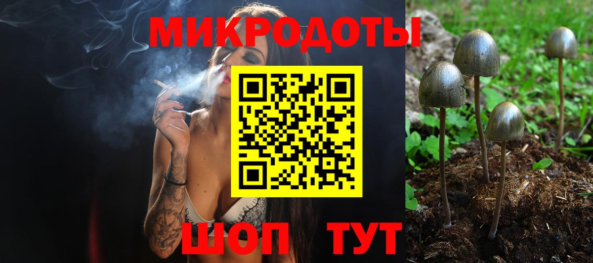 Псилоцибиновые грибы MAGIC MUSHROOMS Кувандык